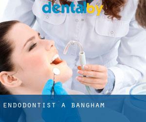 Endodontist à Bangham