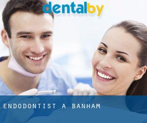 Endodontist à Banham