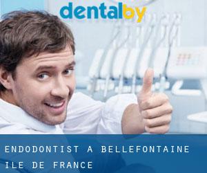 Endodontist à Bellefontaine (Île-de-France)