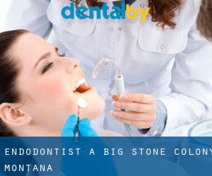 Endodontist à Big Stone Colony (Montana)