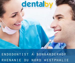 Endodontist à Bongarderhof (Rhénanie du Nord-Westphalie)