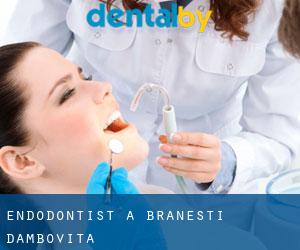 Endodontist à Brăneşti (Dâmboviţa)