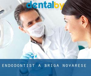 Endodontist à Briga Novarese