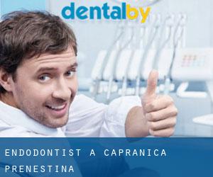 Endodontist à Capranica Prenestina