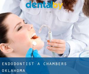Endodontist à Chambers (Oklahoma)