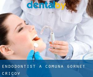 Endodontist à Comuna Gornet-Cricov