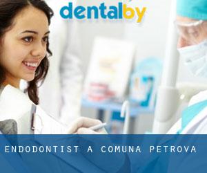 Endodontist à Comuna Petrova
