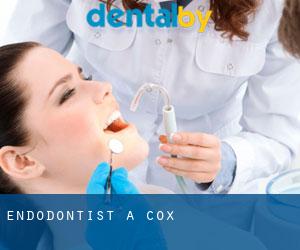 Endodontist à Cox