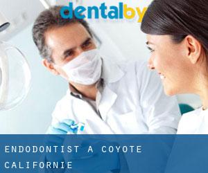 Endodontist à Coyote (Californie)