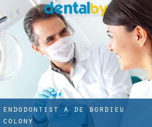 Endodontist à De Bordieu Colony