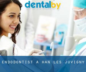 Endodontist à Han-lès-Juvigny