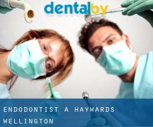 Endodontist à Haywards (Wellington)