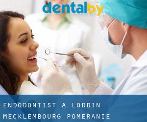 Endodontist à Loddin (Mecklembourg-Poméranie)