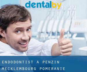 Endodontist à Penzin (Mecklembourg-Poméranie)