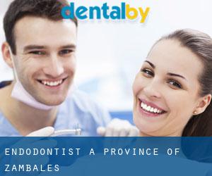 Endodontist à Province of Zambales