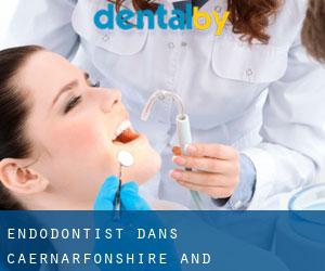 Endodontist dans Caernarfonshire and Merionethshire par principale ville - page 3