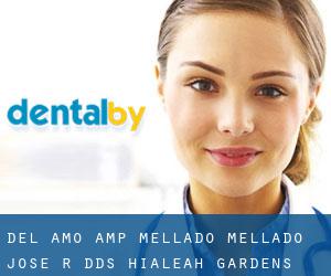 Del Amo & Mellado: Mellado Jose R DDS (Hialeah Gardens)