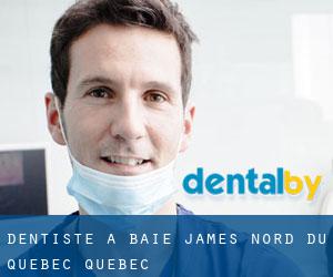 dentiste à Baie-James (Nord-du-Québec, Québec)