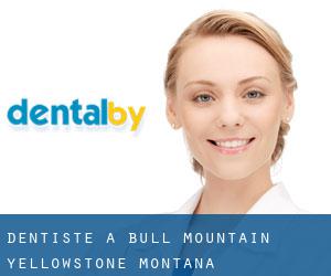 dentiste à Bull Mountain (Yellowstone, Montana)