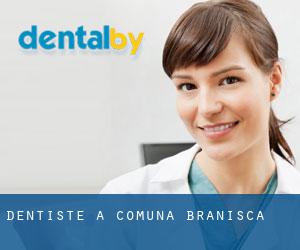 dentiste à Comuna Brănişca