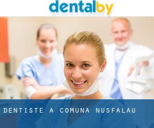 dentiste à Comuna Nuşfalău