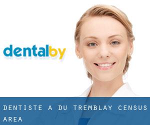 dentiste à Du Tremblay (census area)