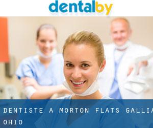 dentiste à Morton Flats (Gallia, Ohio)
