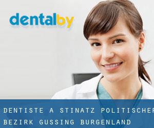 dentiste à Stinatz (Politischer Bezirk Güssing, Burgenland)