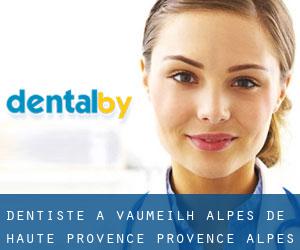 dentiste à Vaumeilh (Alpes-de-Haute-Provence, Provence-Alpes-Côte d'Azur)